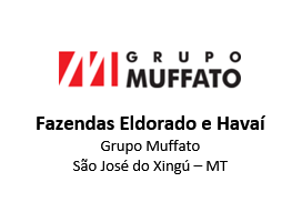 Logo Cliente Muffato